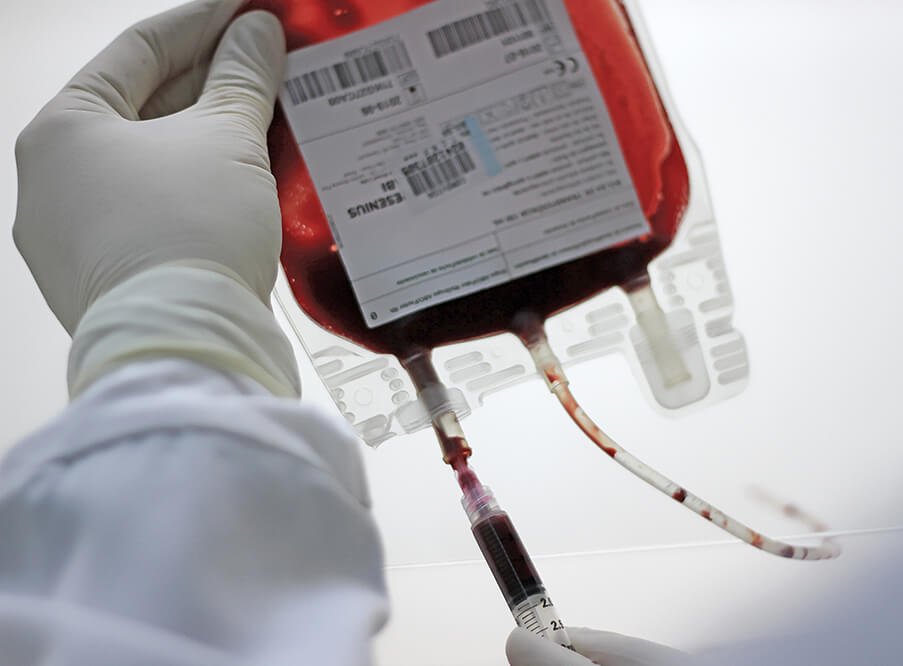 sangue cordão umbilical