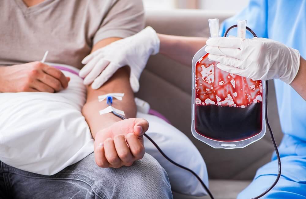 sangue cordão umbilical