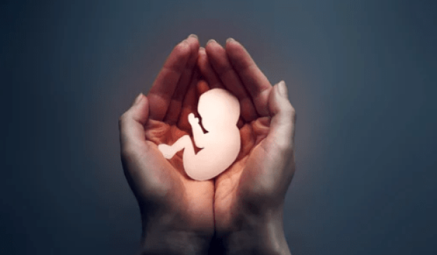 Aborto