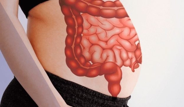 microbiota intestinal gravidez capa instituto villamil