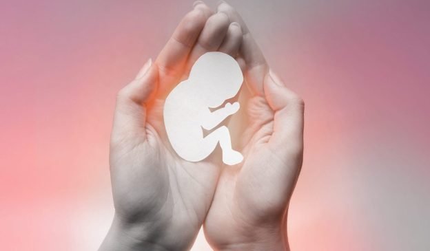 A finalidade desta imagem é mostrar a tristeza da perda gestacional