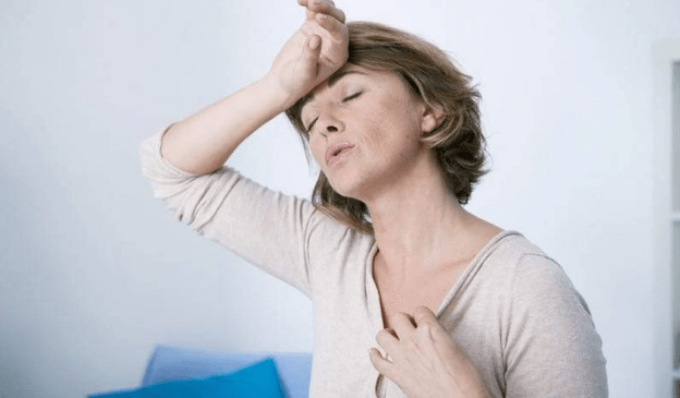 villamilmenopausa